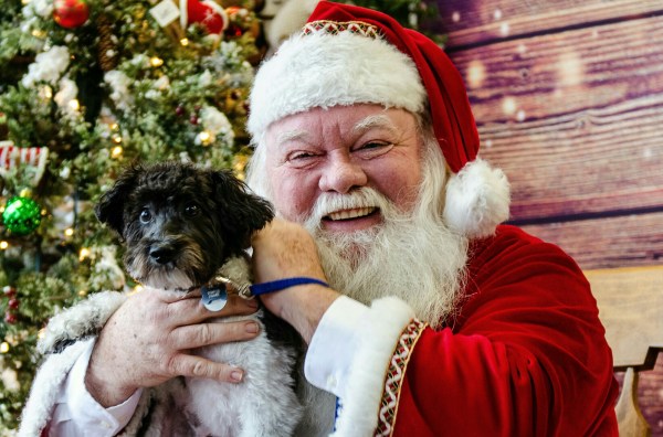 Santa Paws 2018 (95) (1)